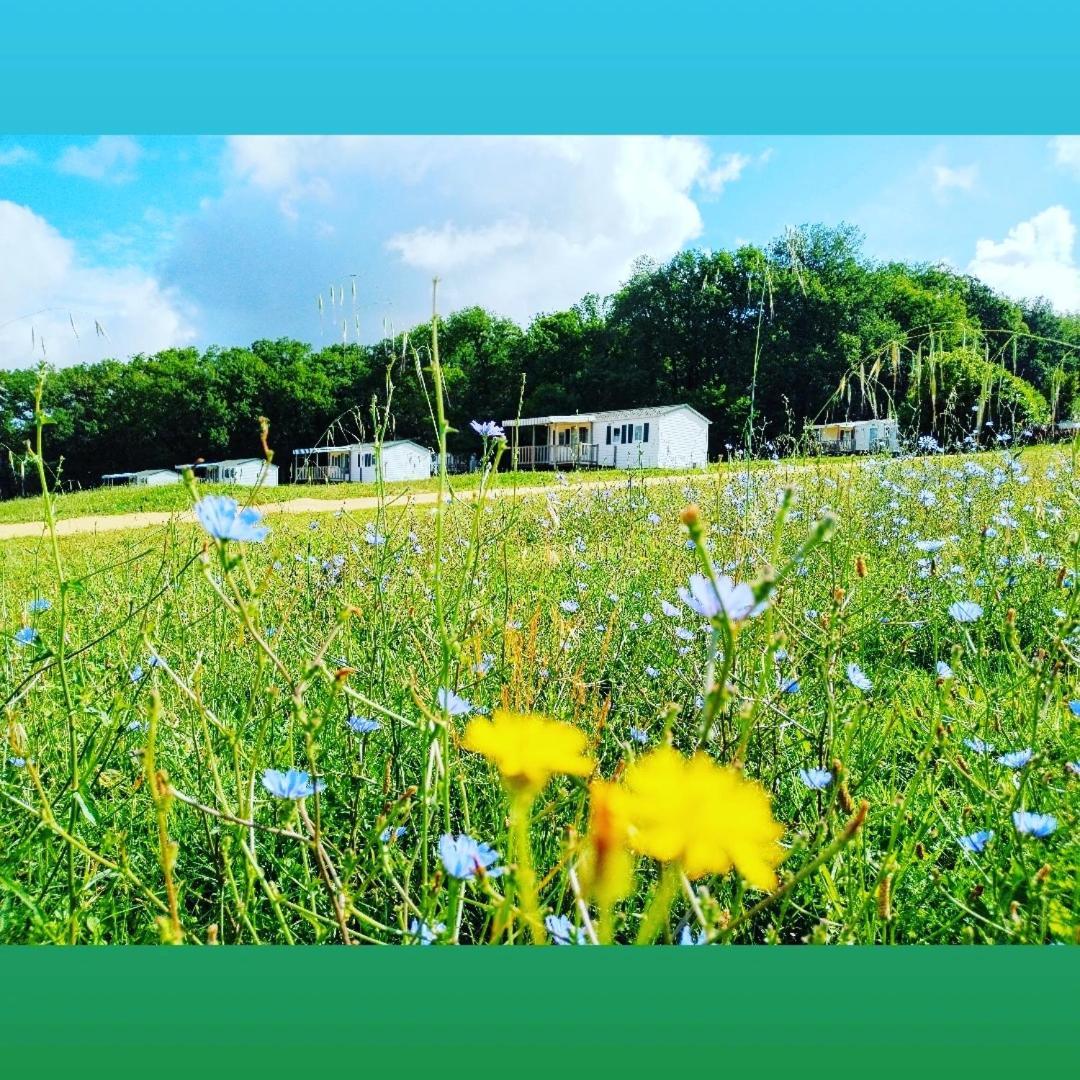 Camping Nature Le Valenty Mobil-Home-Dordogne Panoramique Clim Piscine Soturac Eksteriør bilde