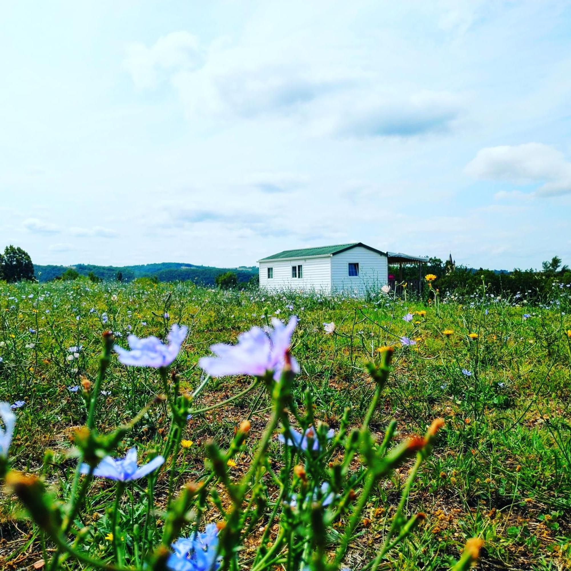 Camping Nature Le Valenty Mobil-Home-Dordogne Panoramique Clim Piscine Soturac Eksteriør bilde