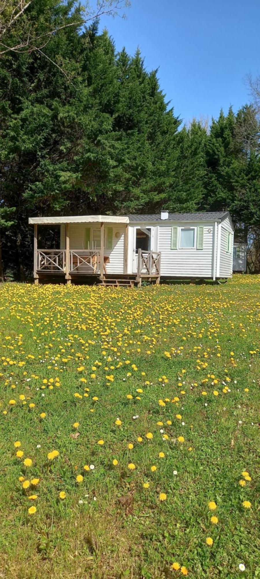 Camping Nature Le Valenty Mobil-Home-Dordogne Panoramique Clim Piscine Soturac Eksteriør bilde